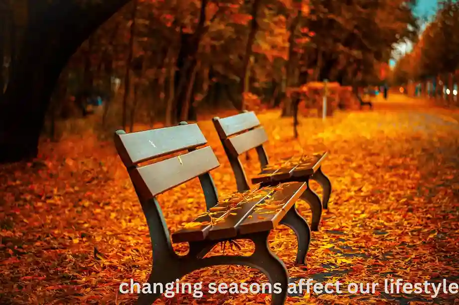 changing seasons affect our lifestyle